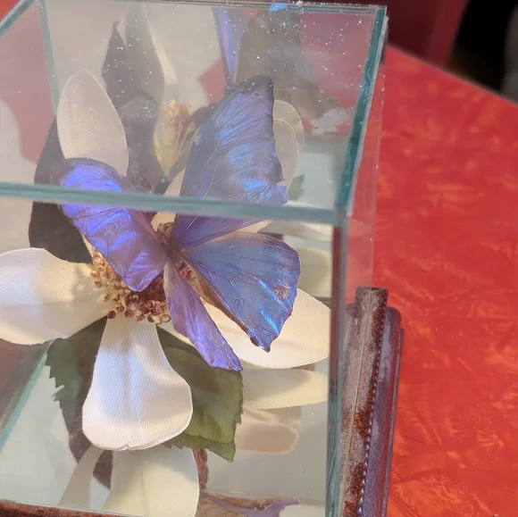 Butterfly Taxidermy Iridescent Blue Glass Dome - Picture 10 of 10